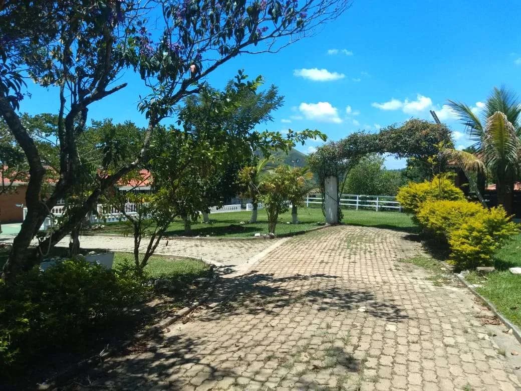 Área verde