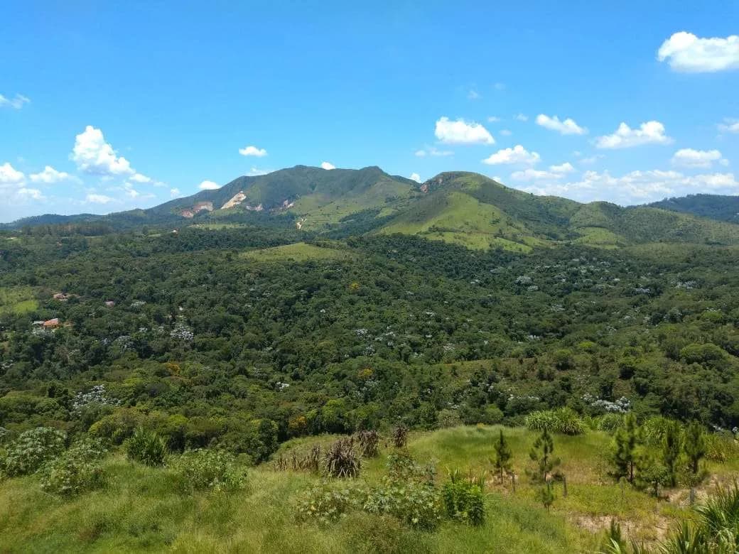 Área verde